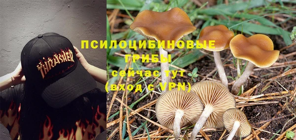 молекула духа Балахна