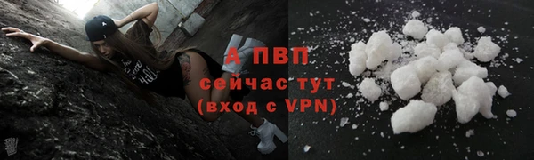 СК Пересвет