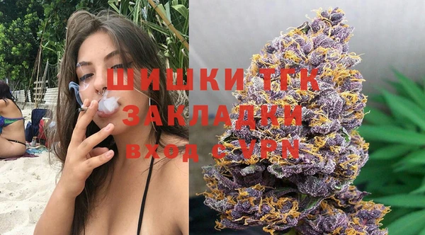 мдпв Осташков