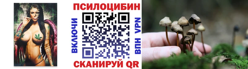 Галлюциногенные грибы Psilocybe  Бодайбо 